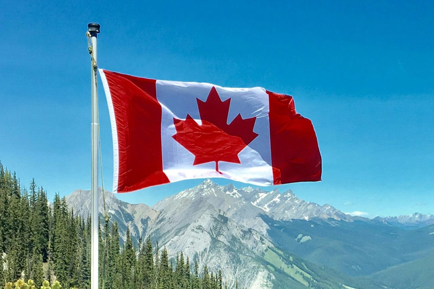 Canadian Flags