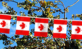 Canada Flag Pennant Strings