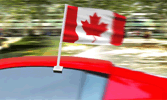 Car Window Flags