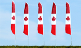 Custom Feather Flags