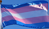 Transgender Flags