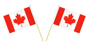 Canada Stick Flags