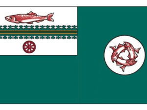 Port Coquitlam Flag