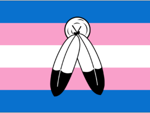 Two-Spirit Transgender Flag